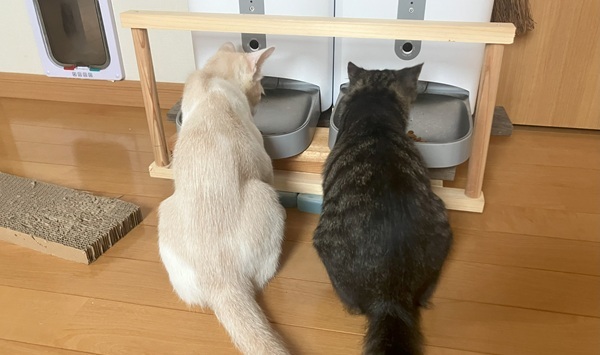 給餌機の柵（枠のみ）
