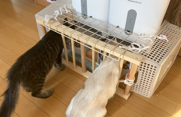 給餌機の柵（完成）