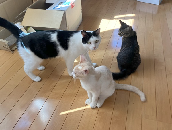 みんな
